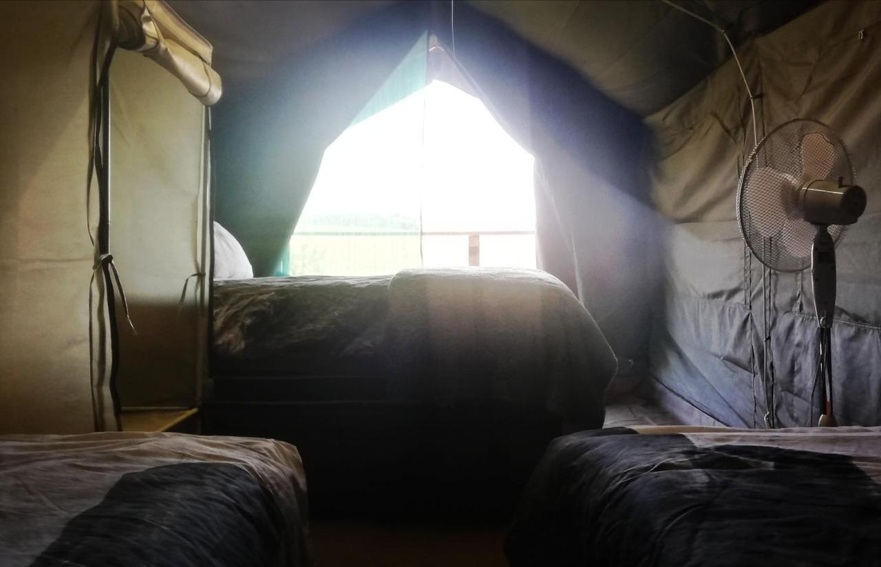 Chosen Glamping Tents Graskop Eksteriør bilde