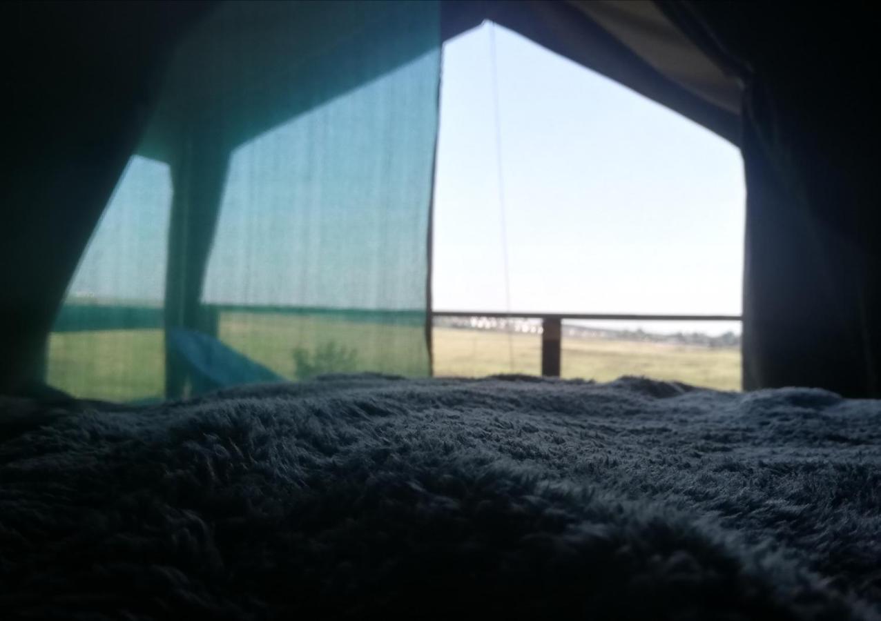 Chosen Glamping Tents Graskop Eksteriør bilde