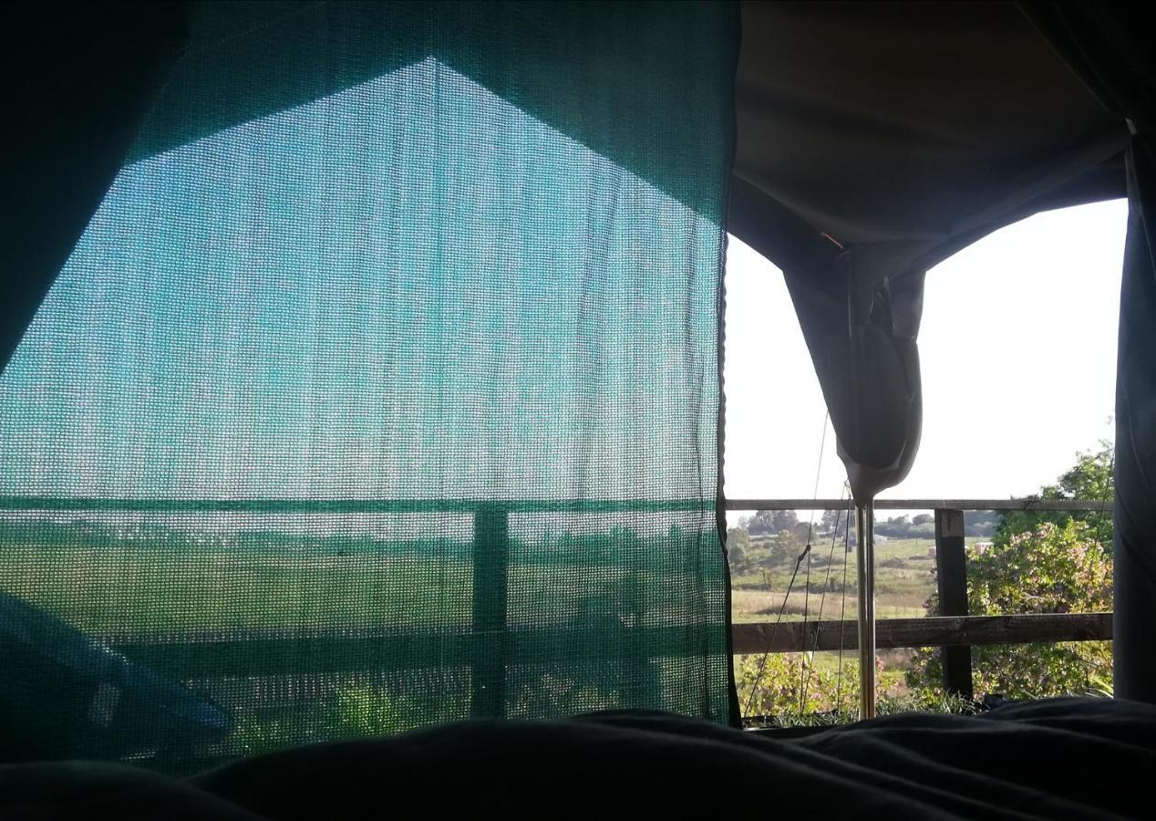 Chosen Glamping Tents Graskop Eksteriør bilde