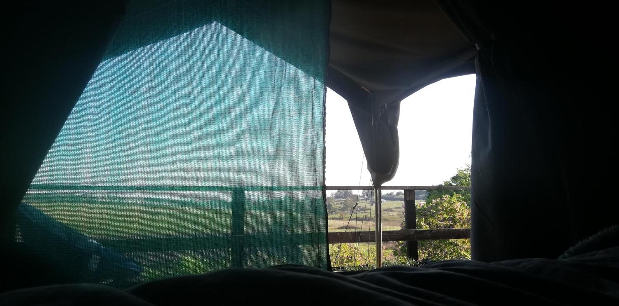 Chosen Glamping Tents Graskop Eksteriør bilde